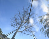 Trailmate Quest 2 Man Tent *2 Kilo Pack Weight