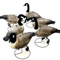 Terminator Canada Goose Full Body Pro Grade Decoys 6-Pack