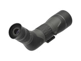 Leupold SX-2 Alpine HD Gen 2 20-60x60mm Angled Spotting Scope