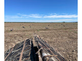 Game On Alberta Laydown Blind: Max5 Camo