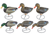 Game On Magnum Mallard 20" Field Decoys 6-Pack: 4 Hens & 2 Drakes