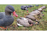 Game On Magnum Mallard 20" Field Decoys 6-Pack: 4 Hens & 2 Drakes