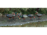 Game On Magnum Mallard 20" Field Decoys 6-Pack: 4 Hens & 2 Drakes