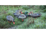 Game On Magnum Mallard 20" Field Decoys 6-Pack: 4 Hens & 2 Drakes