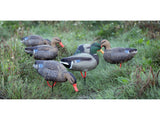 Game On Magnum Mallard 20" Field Decoys 6-Pack: 4 Hens & 2 Drakes