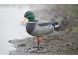 Game On Magnum Mallard 20" Field Decoys 6-Pack: 4 Hens & 2 Drakes