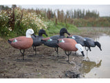 Game On Full Body Paradise Field Decoy Family: 6-Pack