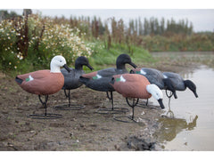 Game On Full Body Paradise Field Decoy Family: 6-Pack