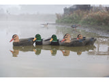 Game On Magnum 20" Mallard Flocked Body Decoy Family: 6-Pack