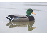 Game On Magnum 20" Mallard Flocked Body Decoy Family: 6-Pack