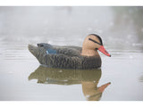 Game On Magnum 20" Mallard Flocked Body Decoy Family: 6-Pack
