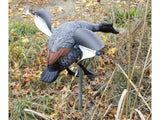 Wind Driven Landing Paradise Drake Decoy