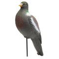 Outdoor Outfitters Pigeon Decoy 38cm | Full Body Field Decoy