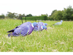 Game On Pigeon 2D Silhouette Decoys x12