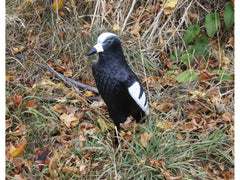 Outdoor Outfitters 17