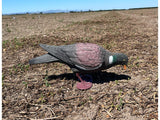 Outdoor Outfitters 15" Pigeon Decoy - Full Bodied With Feet & Stake