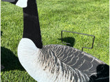 Dakota X-Treme Canada Goose Silhouettes Flocked Head & Tail x12 Set