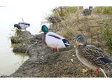 Dakota X-Treme Mallard Silhouettes Fully Flocked | 8 Drakes & 4 Hens