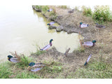 Dakota X-Treme Mallard Silhouettes Fully Flocked | 8 Drakes & 4 Hens