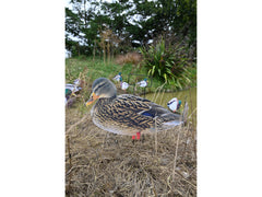 Dakota X-Treme Mallard Silhouettes Fully Flocked | 8 Drakes & 4 Hens