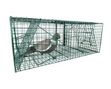 Outdoor Outfitters Double Door Bird Cage Trap with Mirror