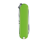 Victorinox Classic SD Pocket Knife | Smashed Avocado Green