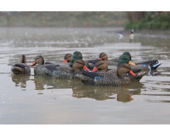 Game On Mallard Decoy Family Pack: 8 Hens & 4 Drakes